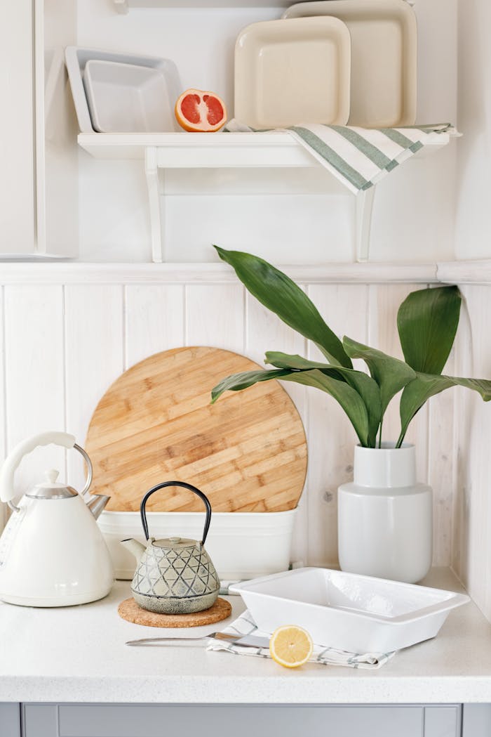 about-us-01 green plant in white ceramic vase 3756659